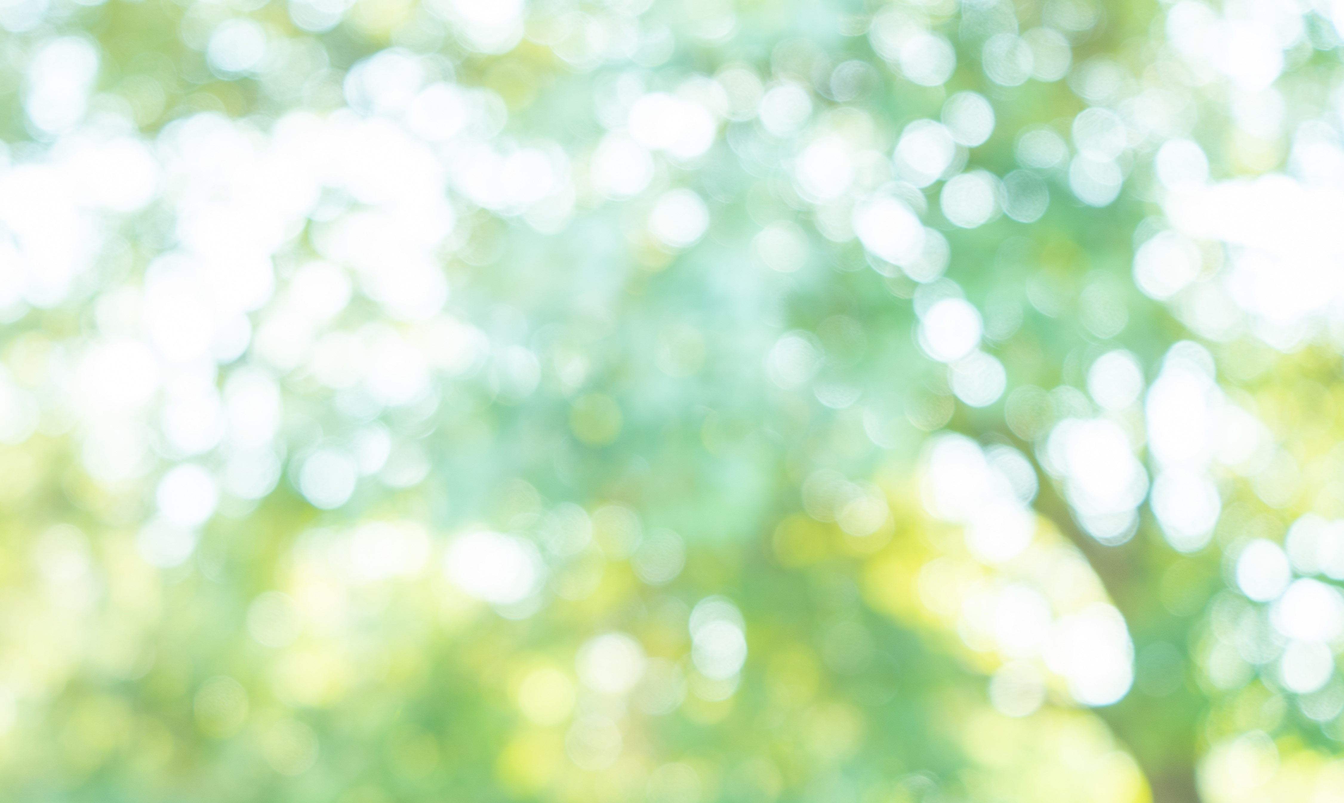 いつ、どのように話すか